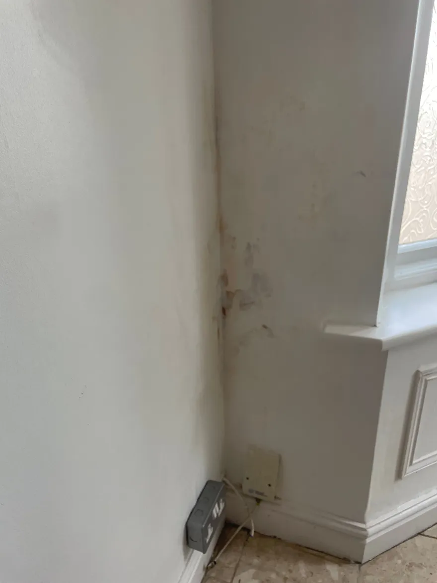 Damp staining and salt bloom at the base of a plastered wall.