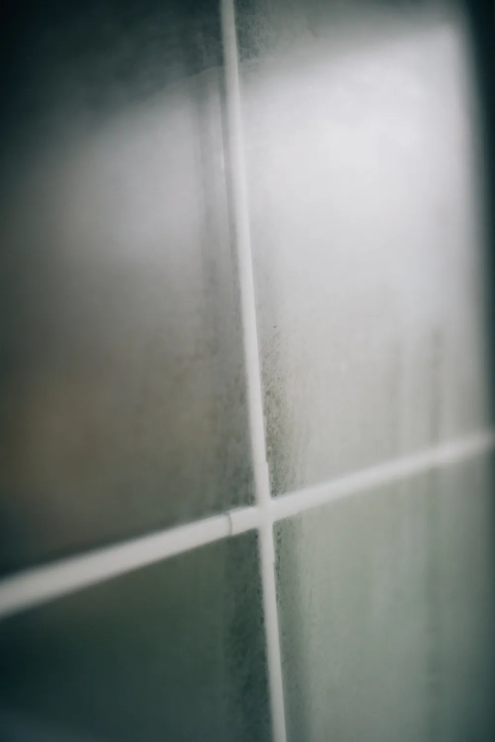 Condensation misting the inside of a window pane